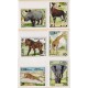 CUBA 1978 SERIE COMPLETA DE ESTAMPILLAS NUEVAS MINT FAUNA SALVAJE